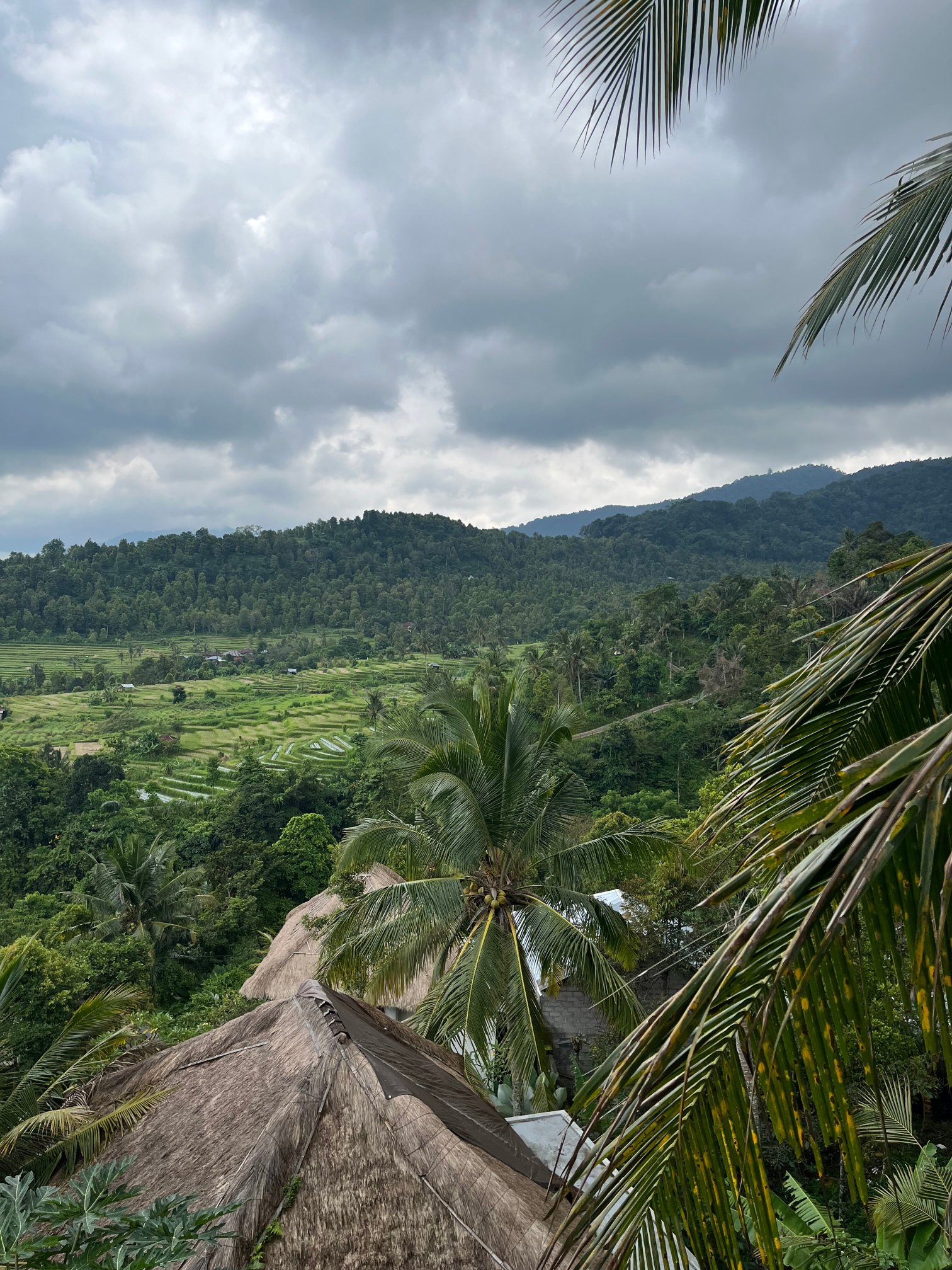 Maha Hills Sambangan-酒店景观