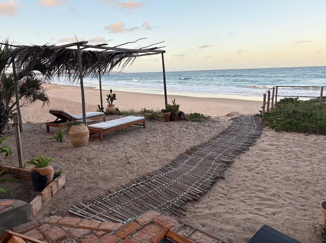 Liquid Dive Adventures-托佛必去景点