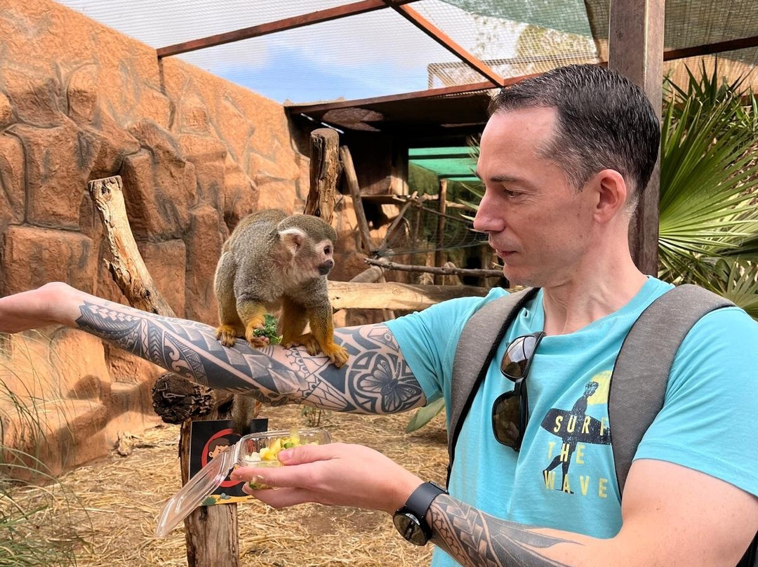 Monkey Park-洛斯克里斯蒂亚诺斯必去景点