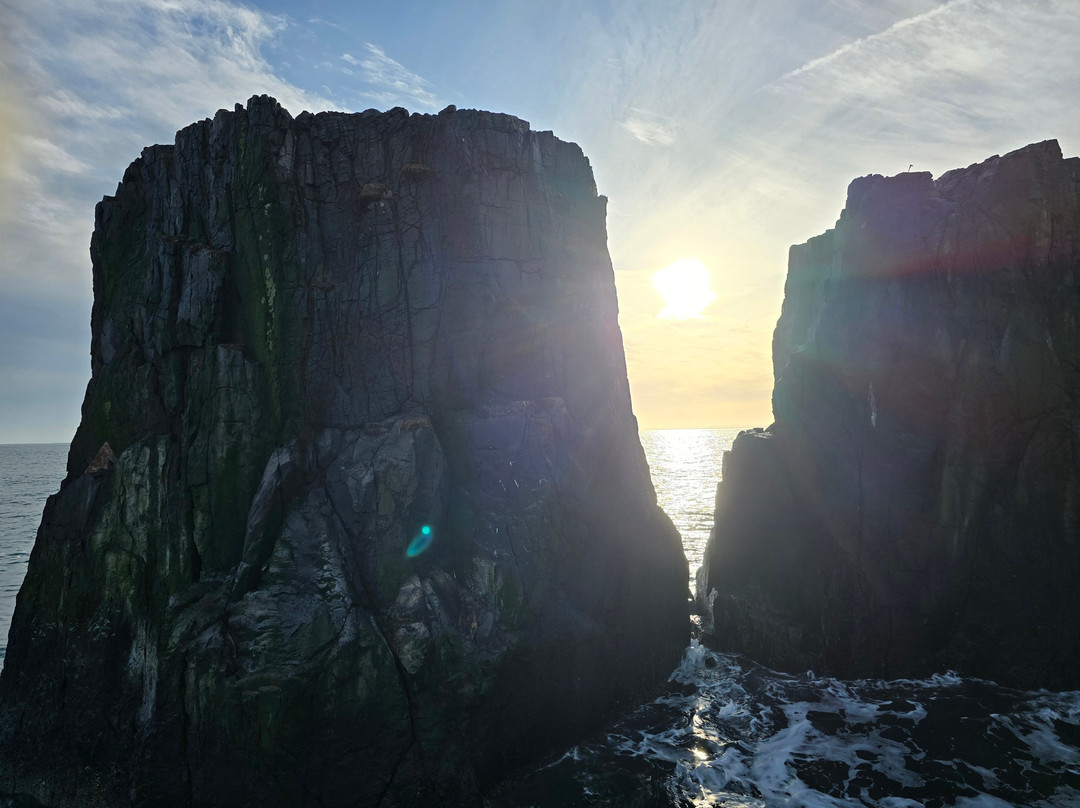 Serenity Farne Island Boat Tours-Seahouses必去景点