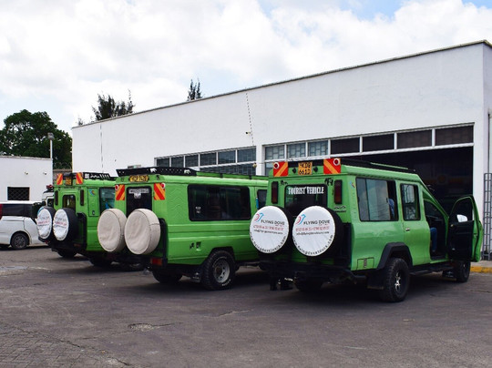 Flying Dove Tours-蒙巴萨必去景点