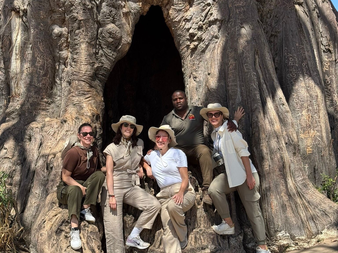 Safari Avventura-阿鲁沙必去景点