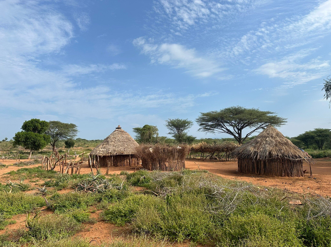 Ethiopian Travel Adventures I ETAD-巴哈尔达尔必去景点