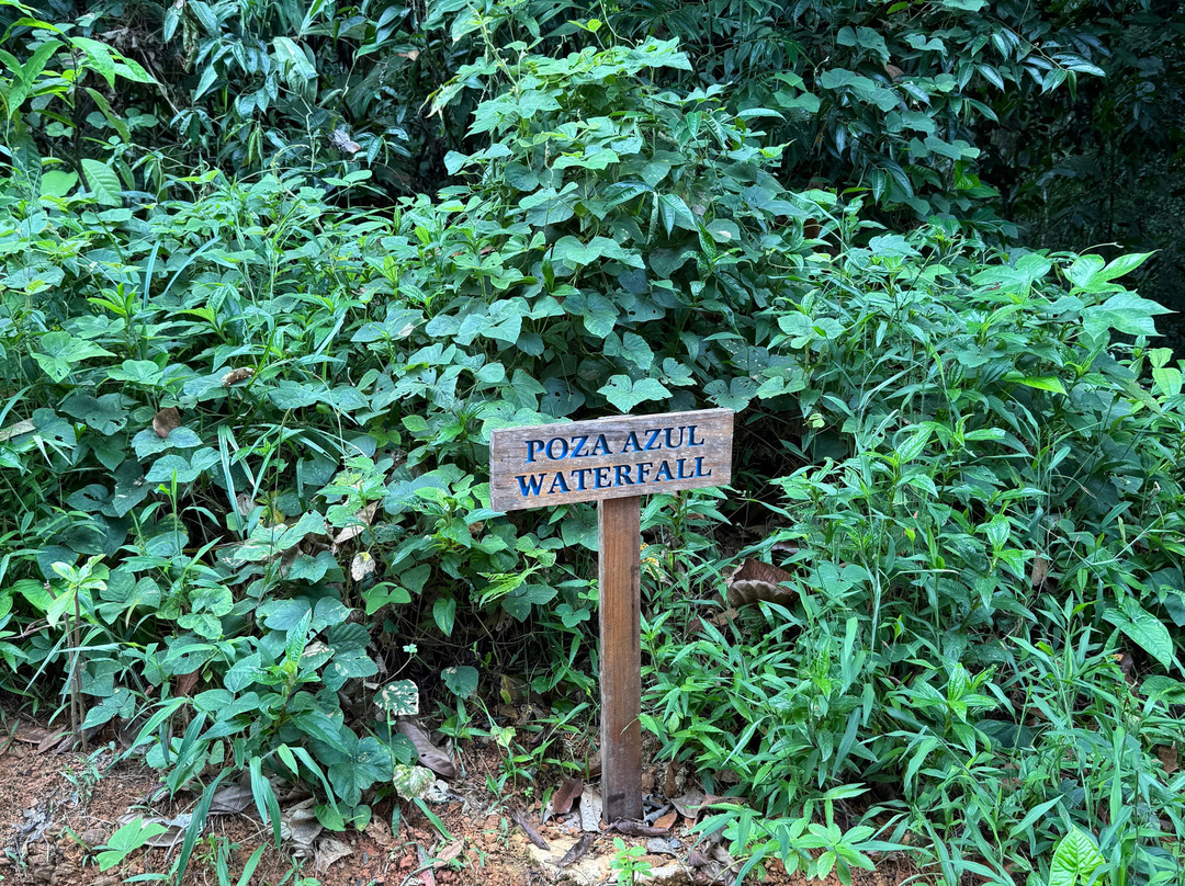 Waterfalls Heaven Costa Rica-哥斯达黎加安东尼奥国家公园必去景点