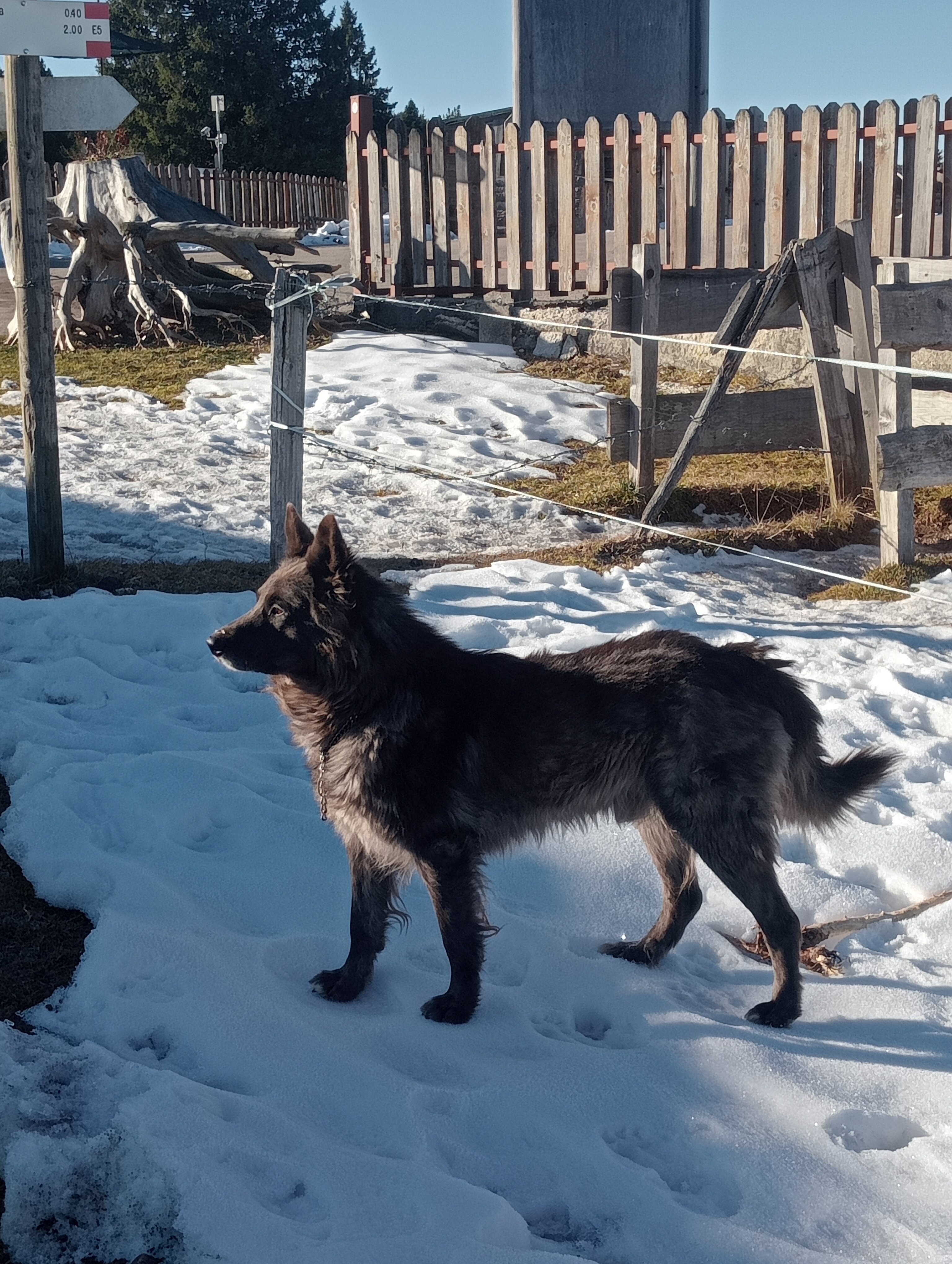 Albergo Ristorante Forte Cherle-官方