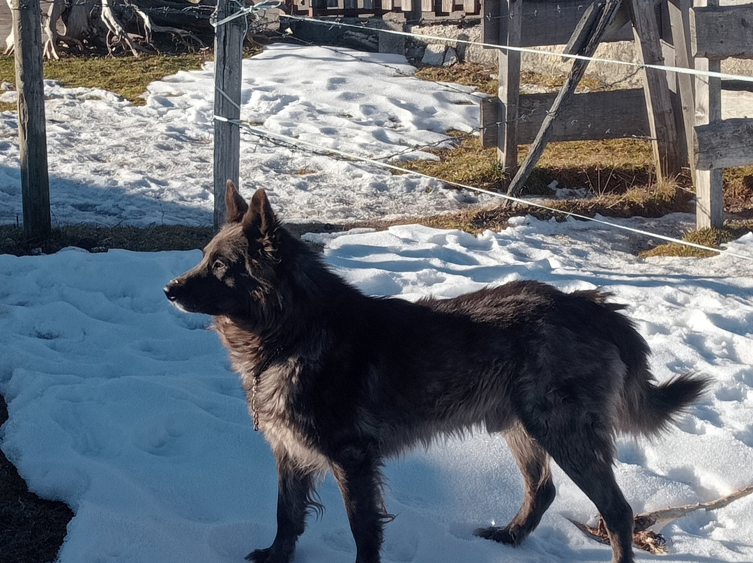 Albergo Ristorante Forte Cherle主图