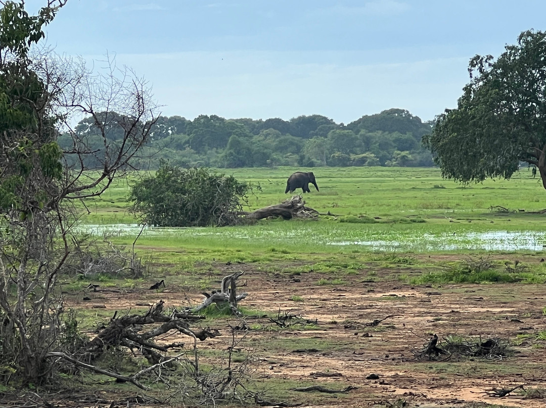 My Vacation at Lanka-Ratmalana必去景点
