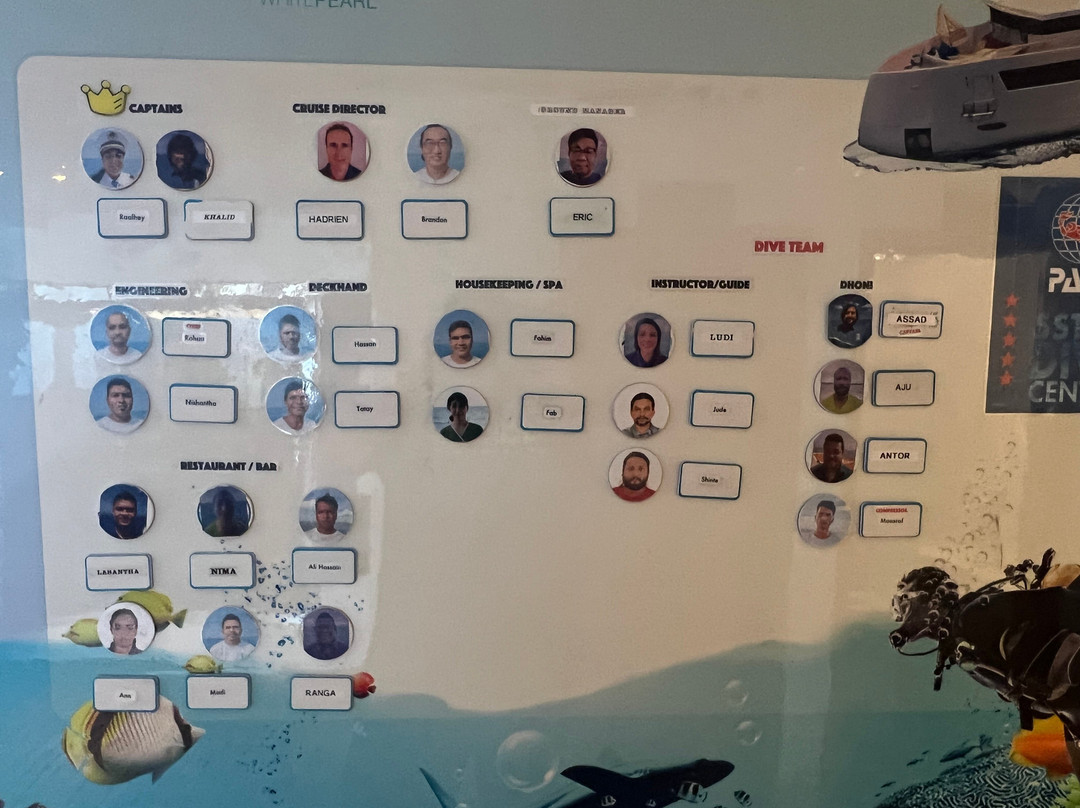 White Pearl Maldives-马累必去景点