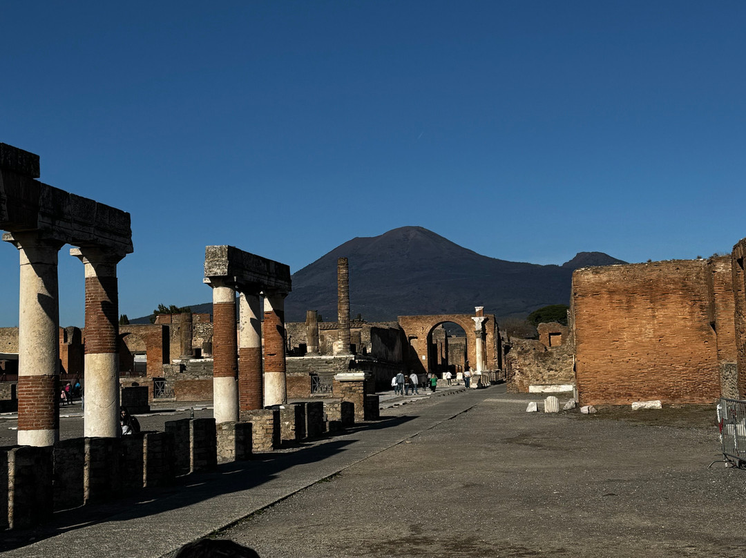 Crown Tours - Pompeii-庞贝必去景点