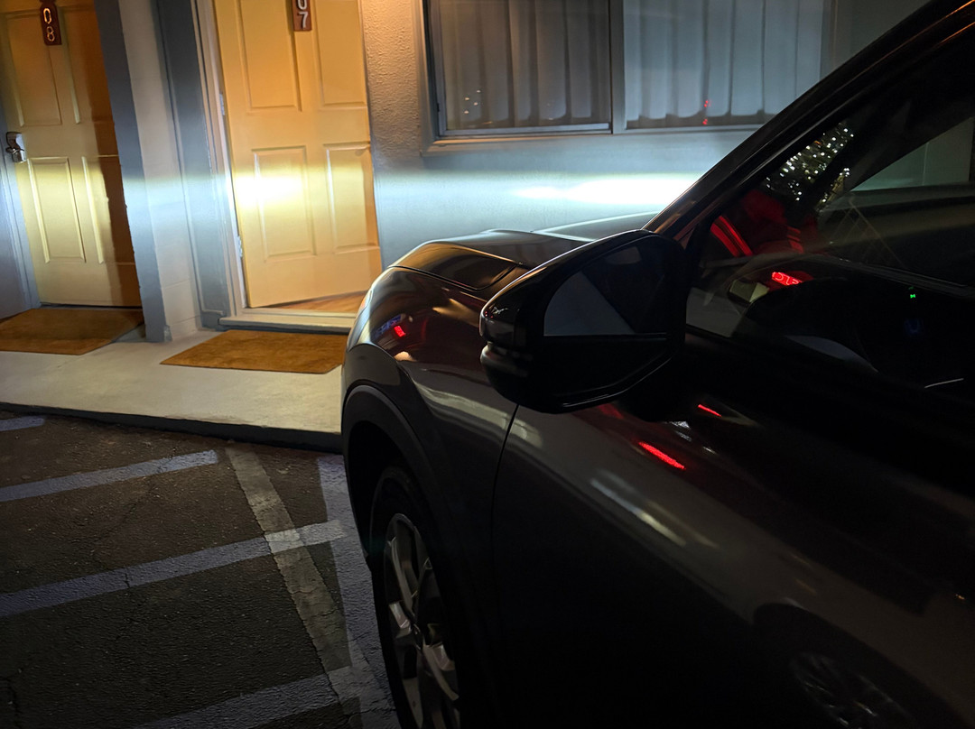 龙舌兰酒店主图