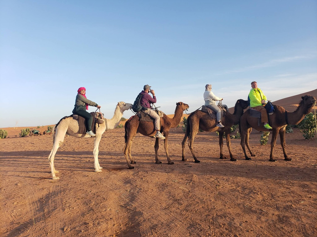 Dream Morocco Tours-非斯必去景点