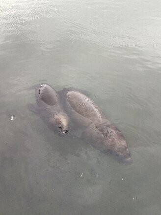 波多黎各德埃斯特角城-埃斯特角城必去景点