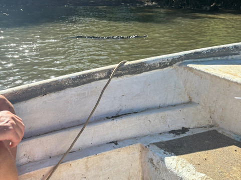 Wild Tamarindo-塔马林多必去景点