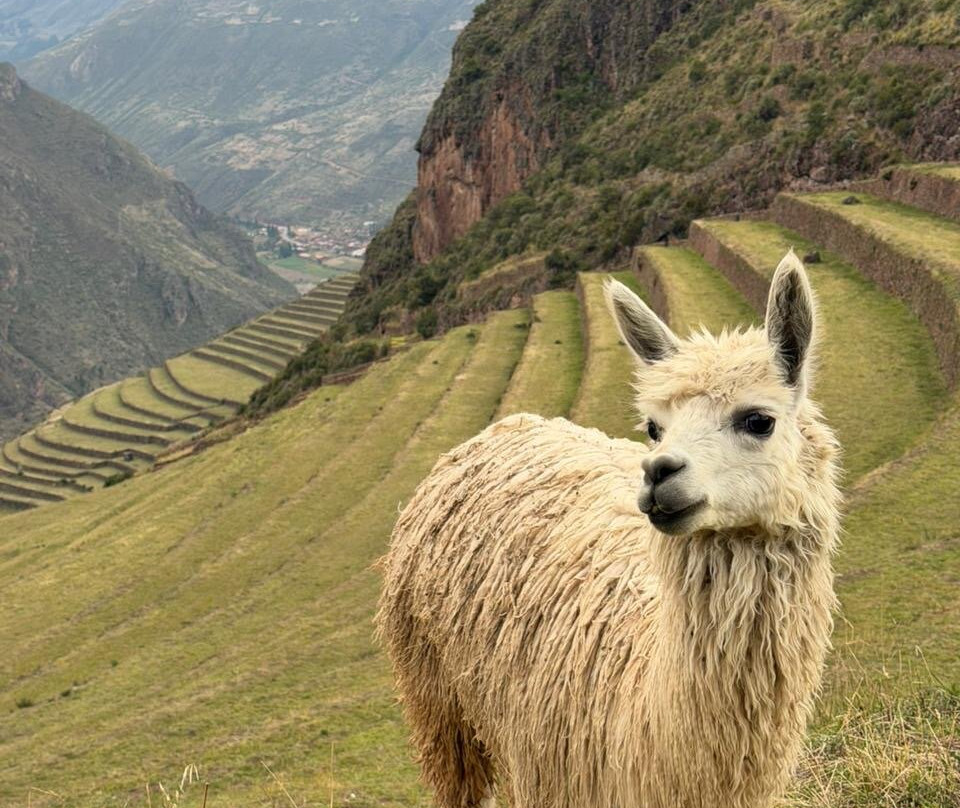 Viajes Pachacutec-库斯科必去景点