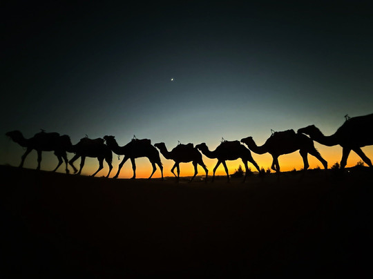 Sahara Unlimited Morocco Tours-马拉喀什必去景点