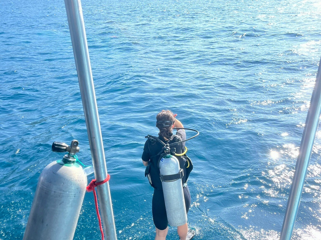 Scuba Shack-涛岛必去景点