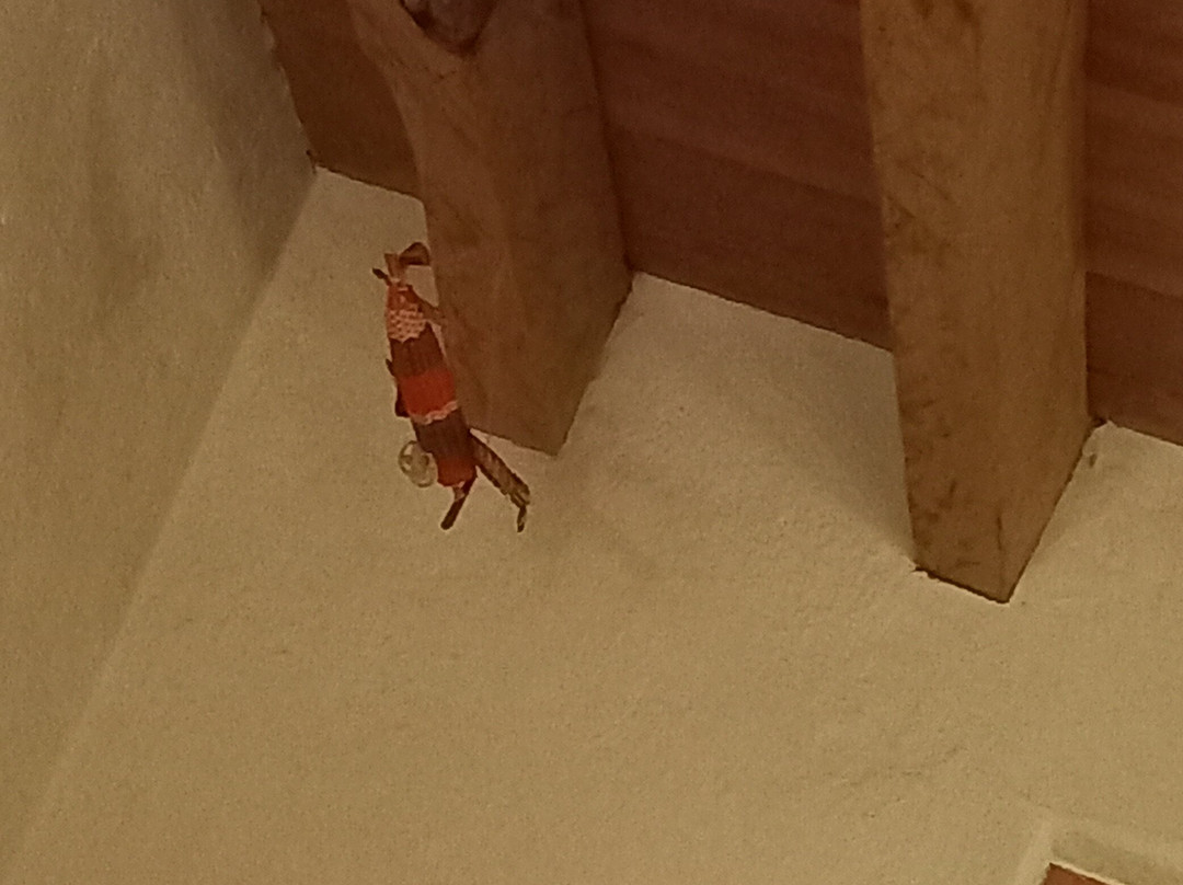 Las Luciérnagas主图