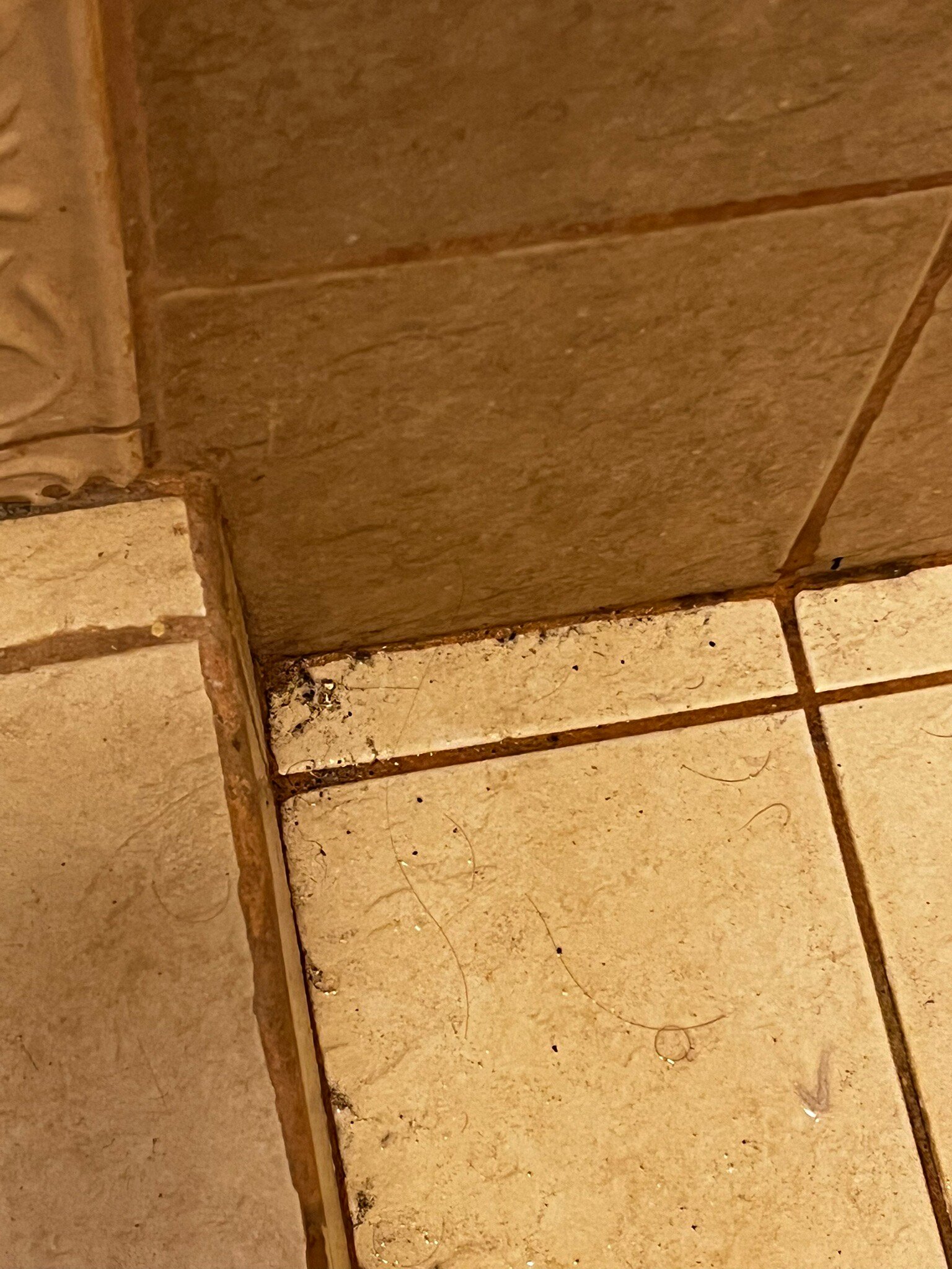 可可海滩酒店-官方