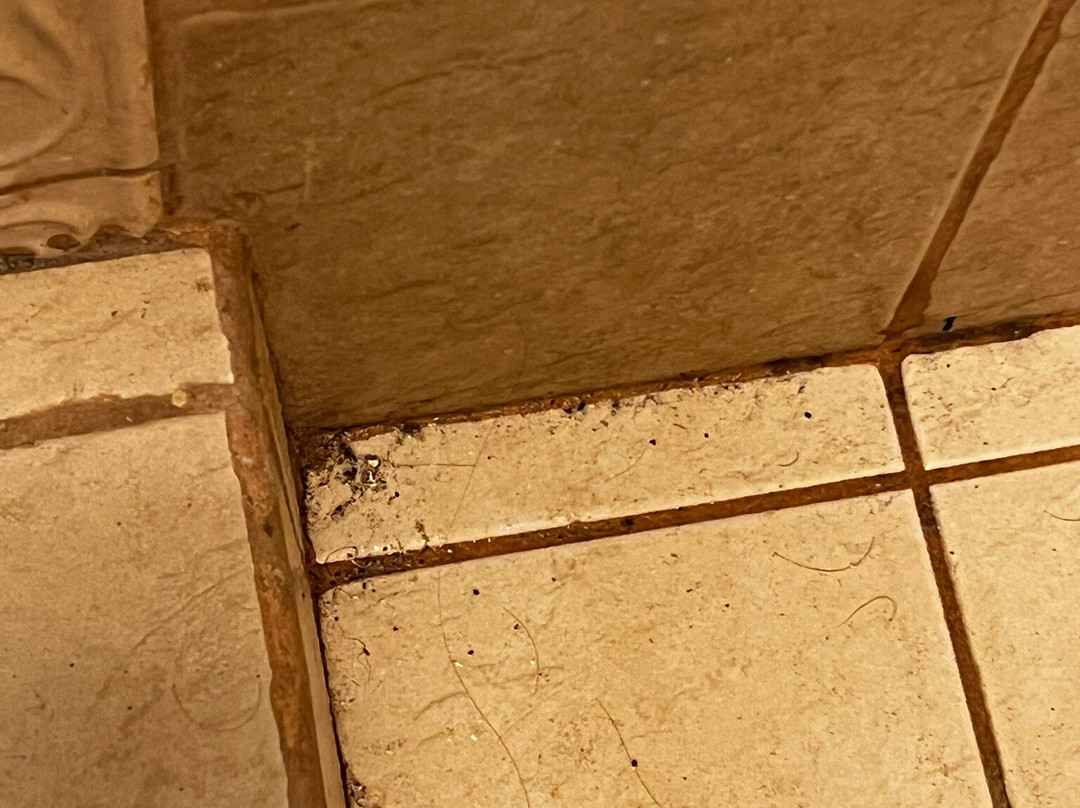 可可海滩酒店主图