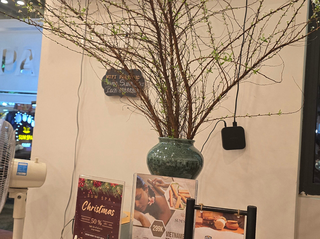 Sum Spa Danang-岘港必去景点