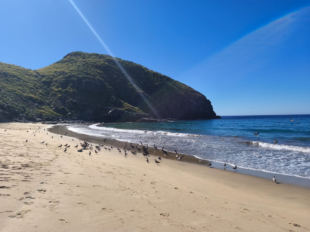 Punta Lobos-托多斯桑托斯必去景点