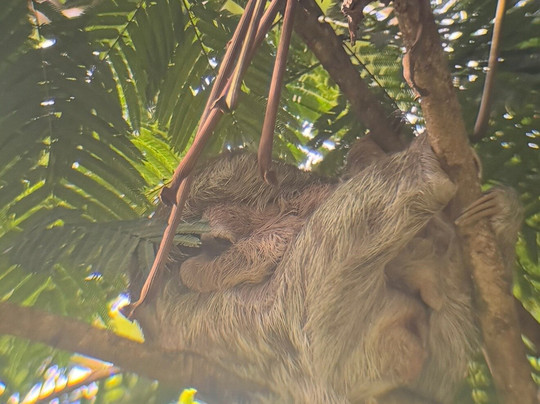 Los Sueños Travel-艾拉杜拉必去景点