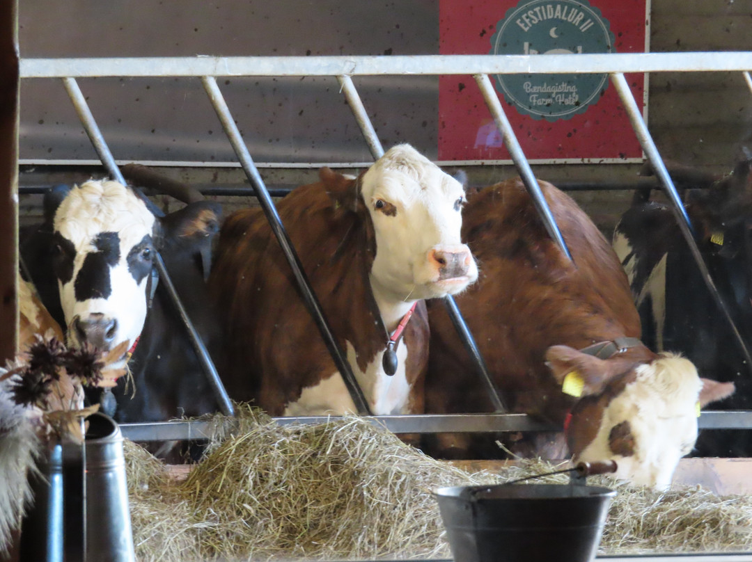 艾弗斯达勒农场酒店主图