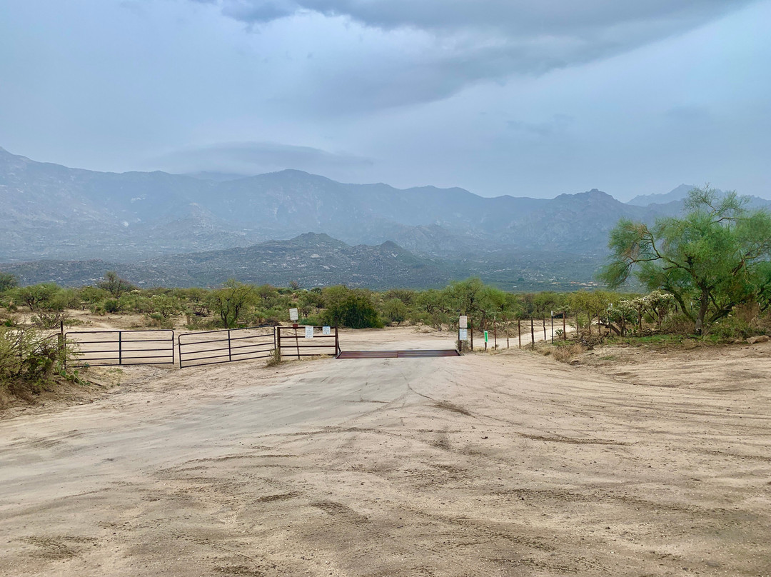 Catalina State Park-图森必去景点