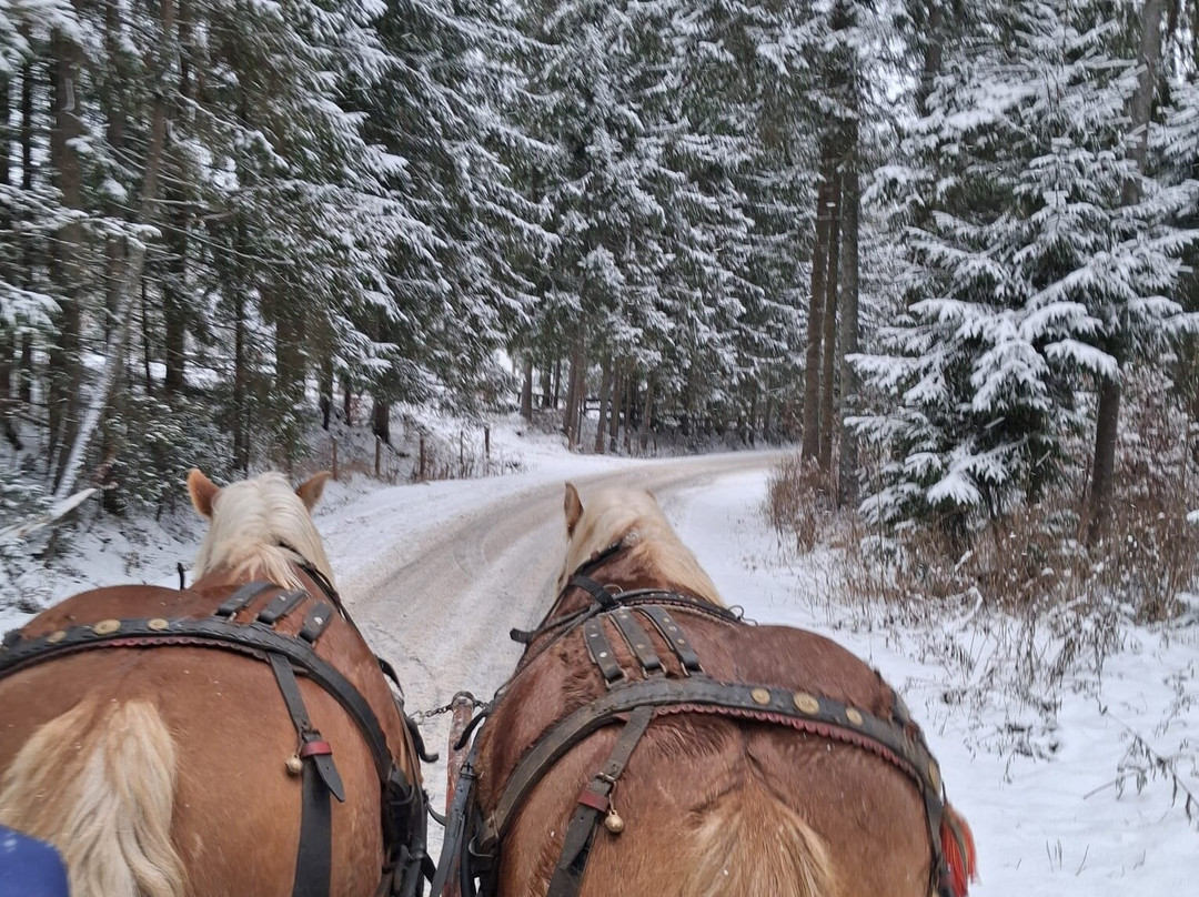 Pensiunea Casa Motului主图