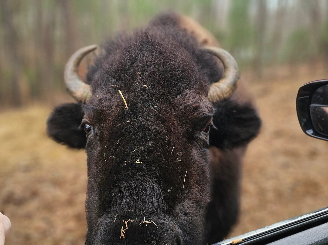 North Georgia Wildlife Park-Cleveland必去景点