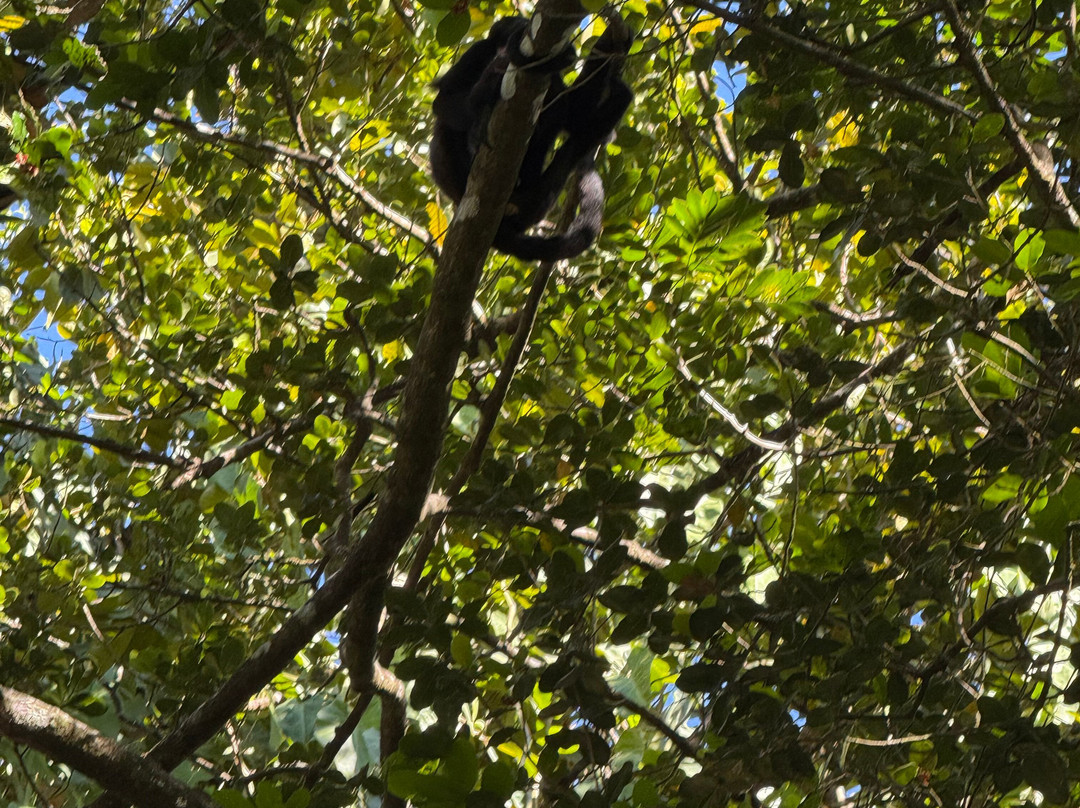 Pura Vida Concierge Services-塔马林多必去景点