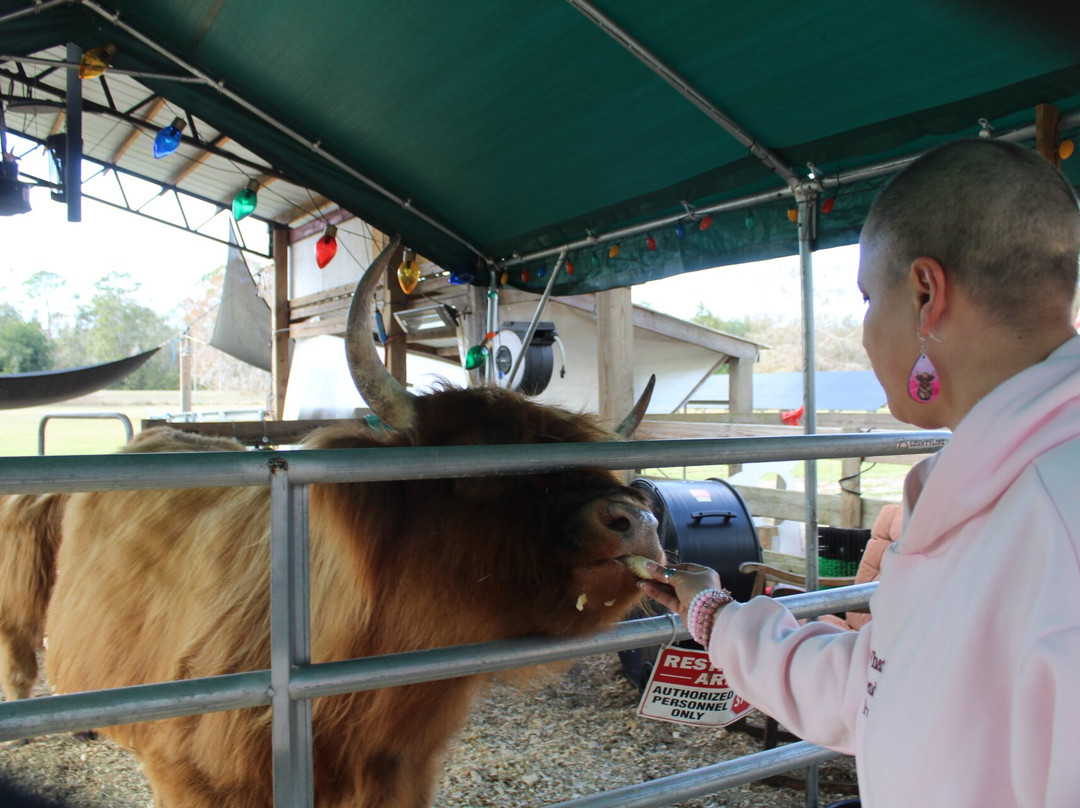 Rooterville Animal Sanctuary-Melrose必去景点