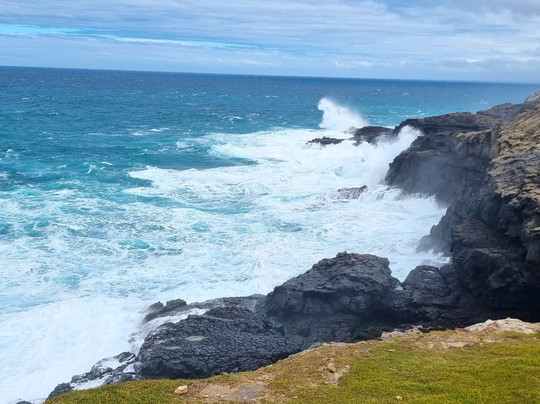 Petrified Forest and Blowholes-Cape Bridgewater必去景点
