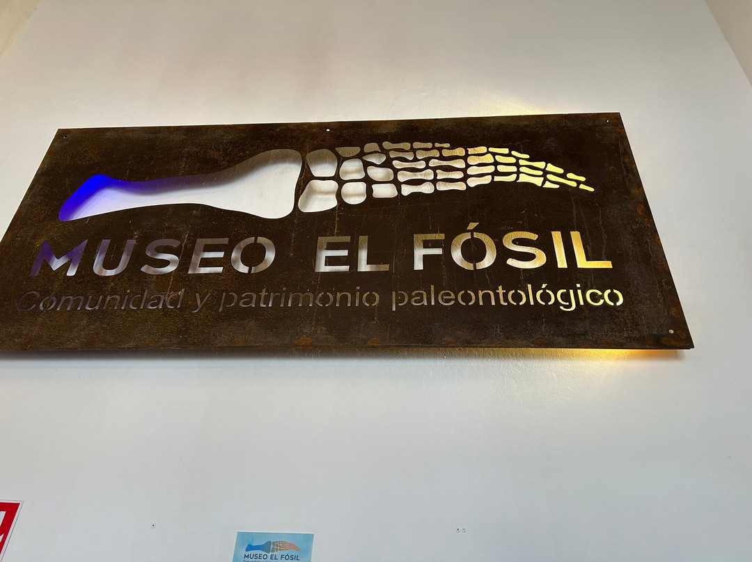 Museo El Fosil-莱瓦镇必去景点