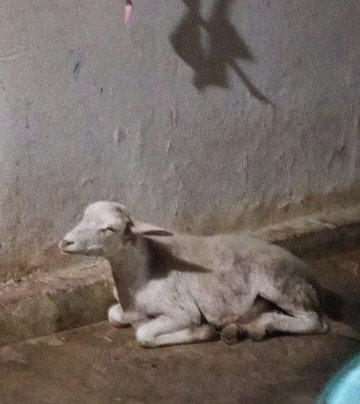 Alma Guajira-Riohacha必去景点