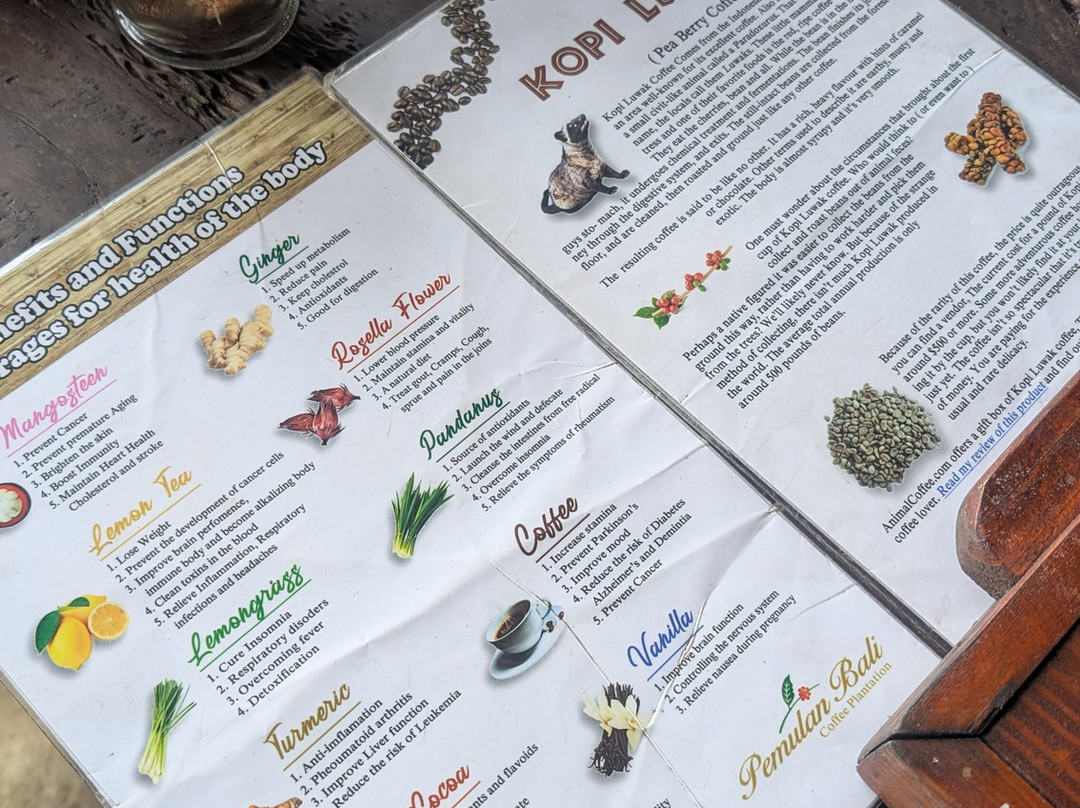 Balitabiyotour-乌布必去景点