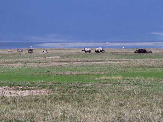 Kilitanzania Pride Tours and Safaris-阿鲁沙必去景点