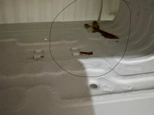 拉普雷斯快捷假日&套房酒店主图