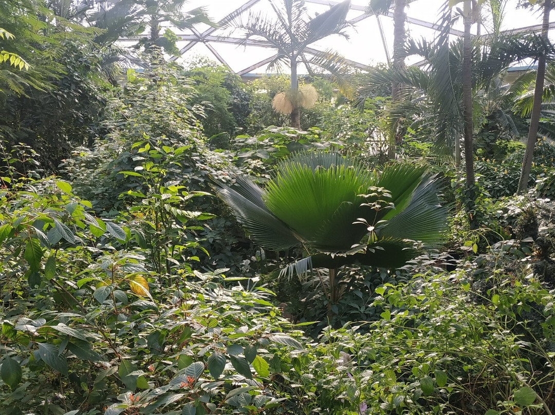 Papiliorama-Kerzers必去景点