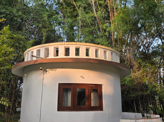 Vraksh by Aranyak Pench主图