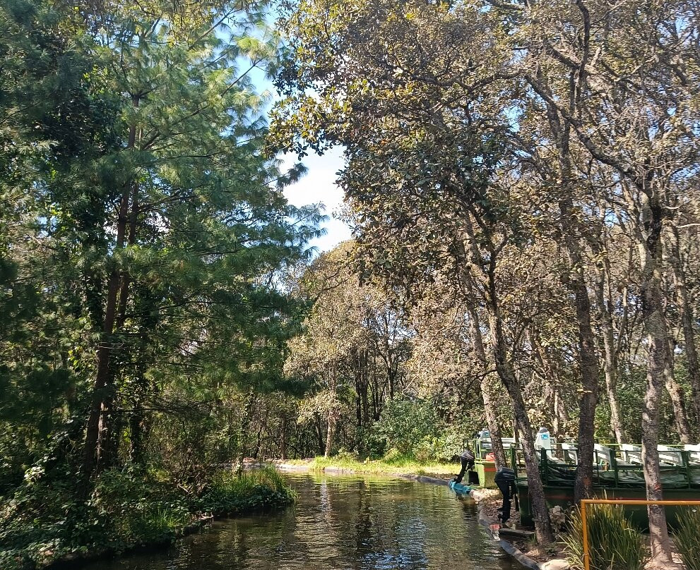 Bioparque Estrella México-San Juan Tuxtepec必去景点