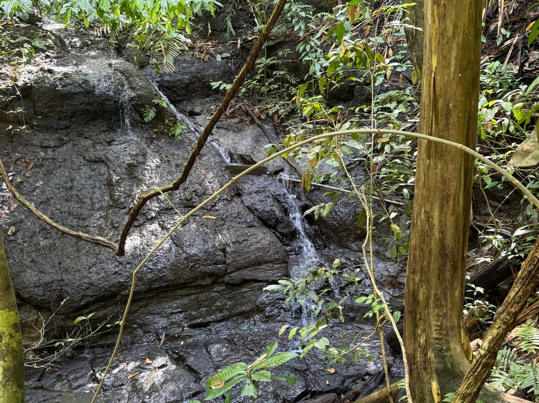 Parque Nacional Manuel Antonio-哥斯达黎加安东尼奥国家公园必去景点