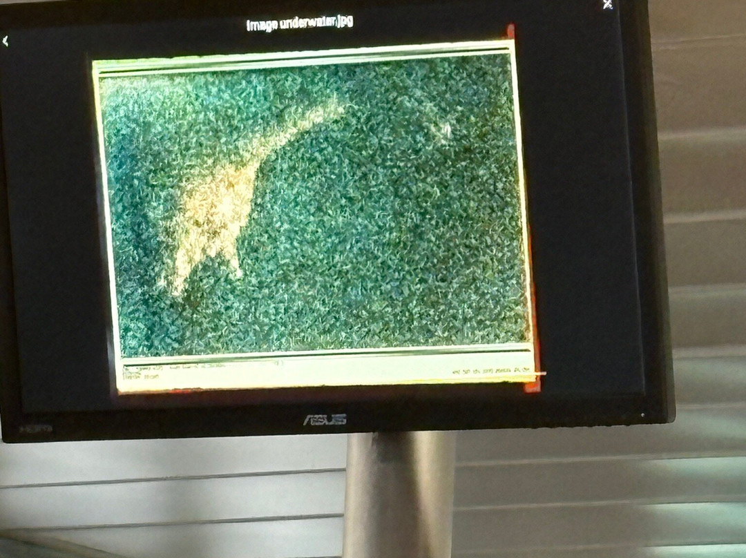 Cruise Loch Ness-Fort Augustus必去景点