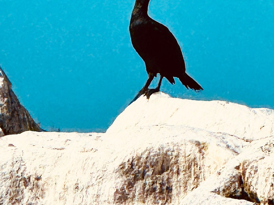 Cape Coast Expeditions-Yzerfontein必去景点