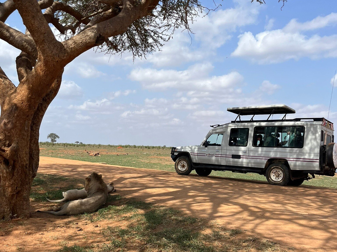 Pollman's Tours & Safaris-蒙巴萨必去景点