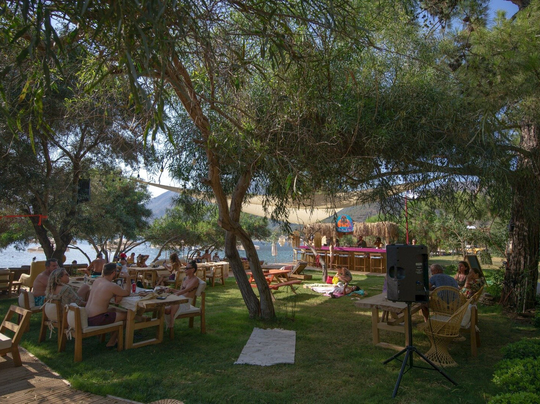 Kon Tiki Beach Club & Surf