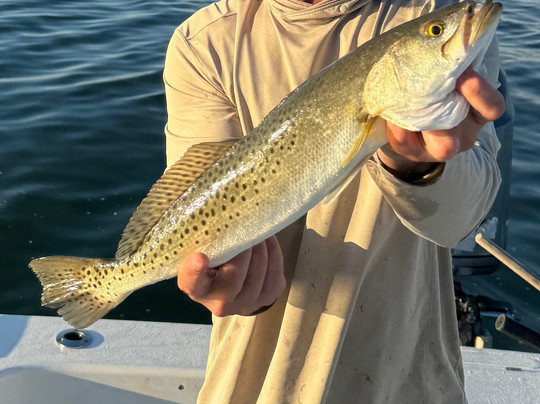 Anna Maria Charters-Holmes Beach必去景点