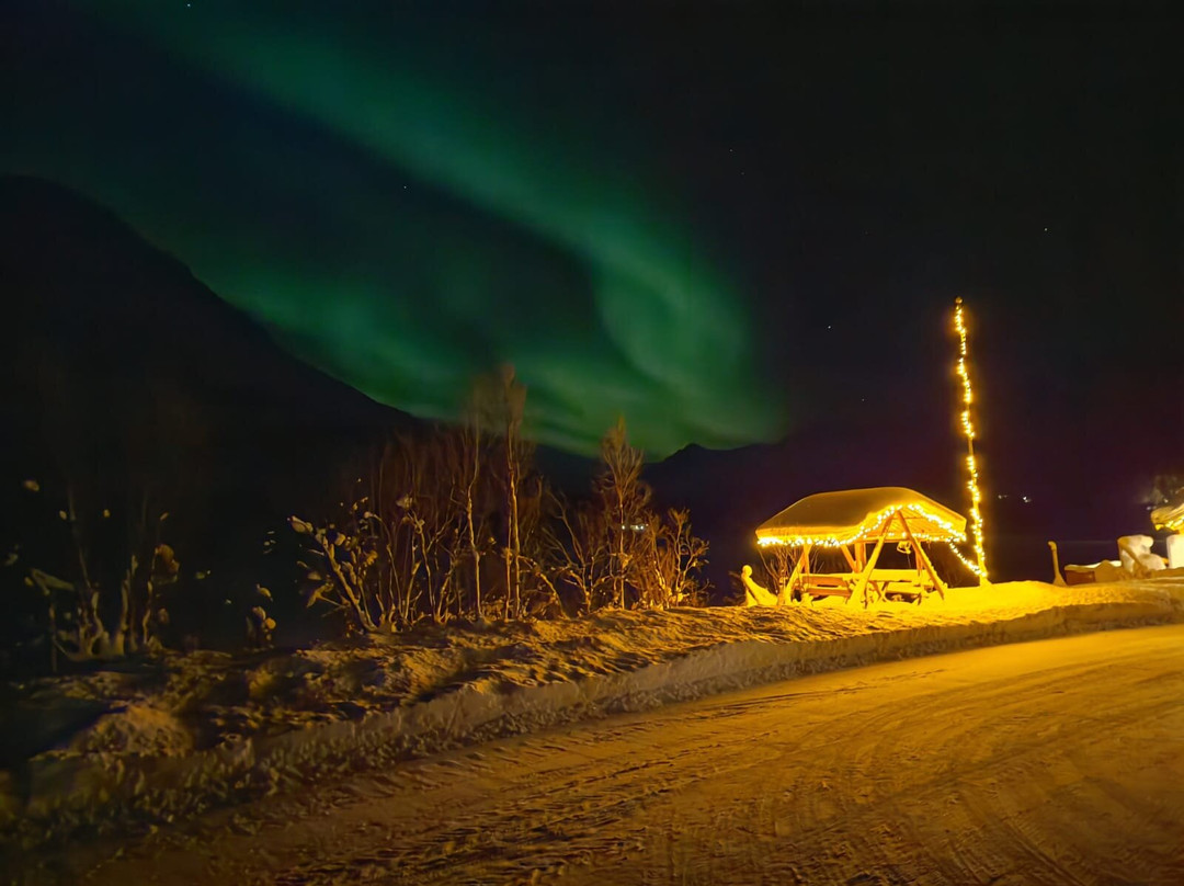 ArcticWild-特罗姆瑟必去景点