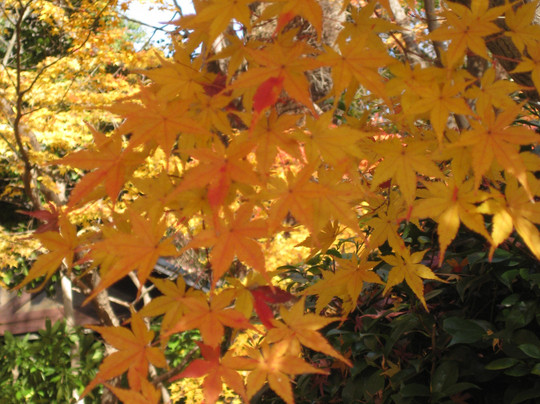 Asahi Beer Oyamazaki Villa Museum of Art-大山崎町必去景点