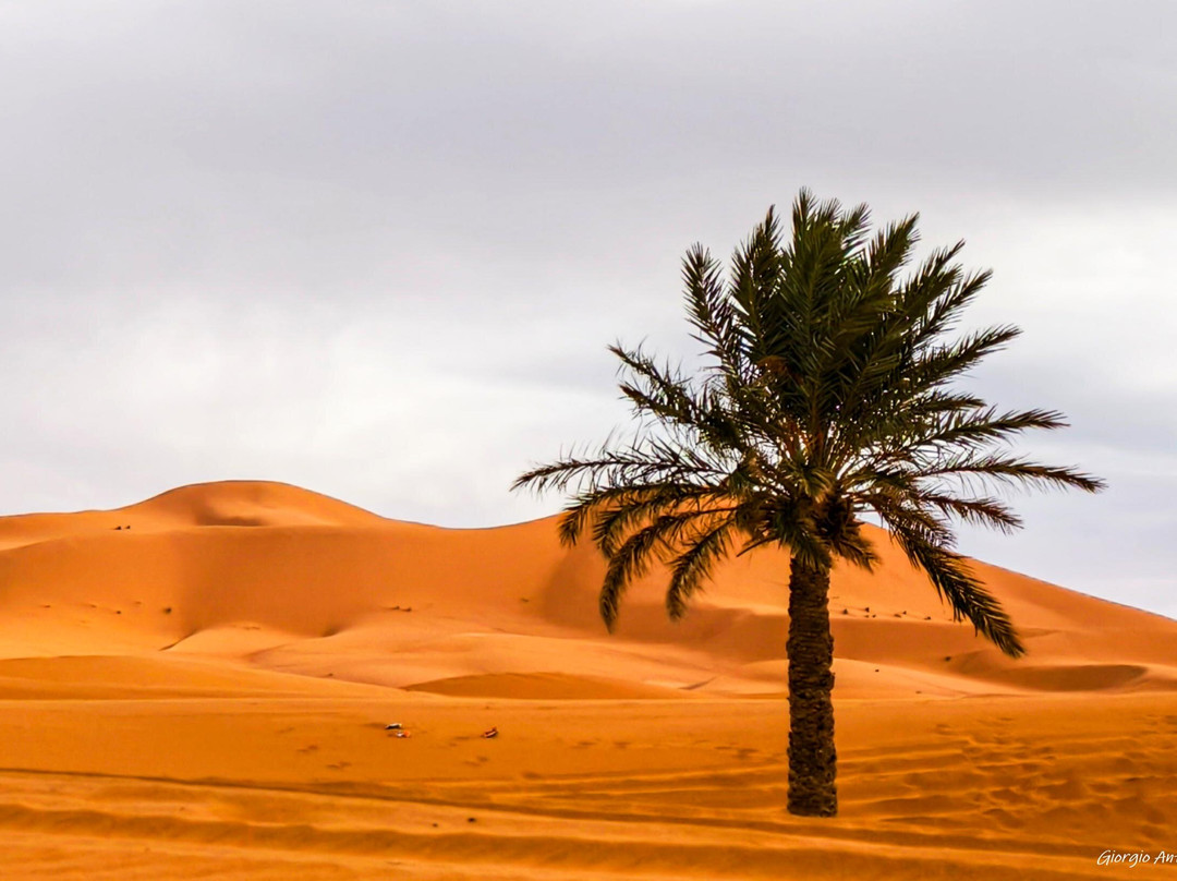 Viaggioneldeserto-扎古拉必去景点